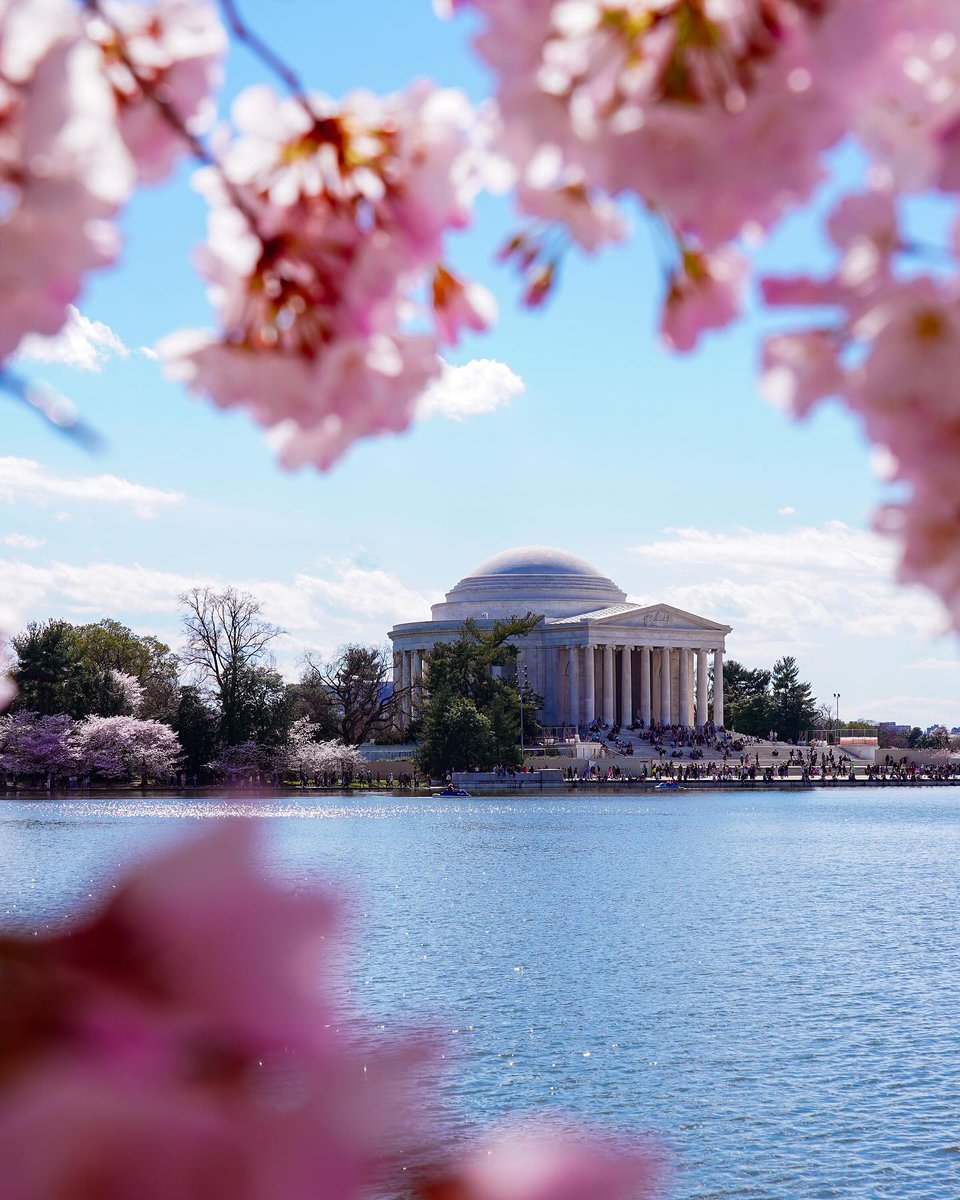 Visit Washington, DC tweet media