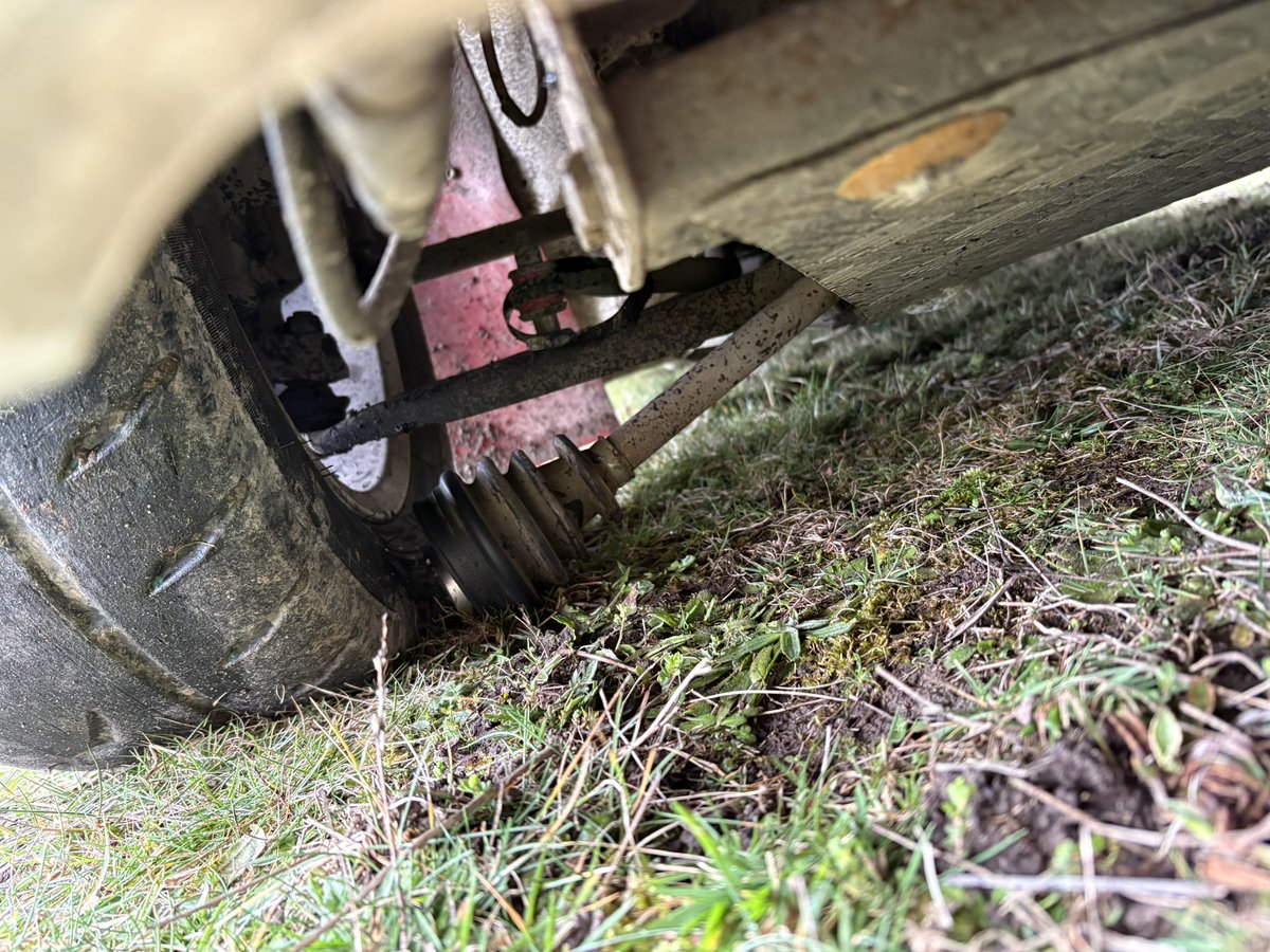 Max Freeman tweet media