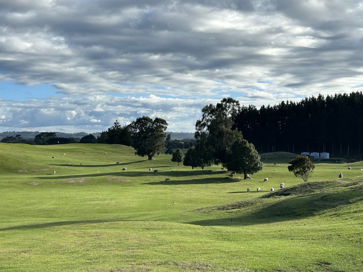 Golf Course Gurus tweet media