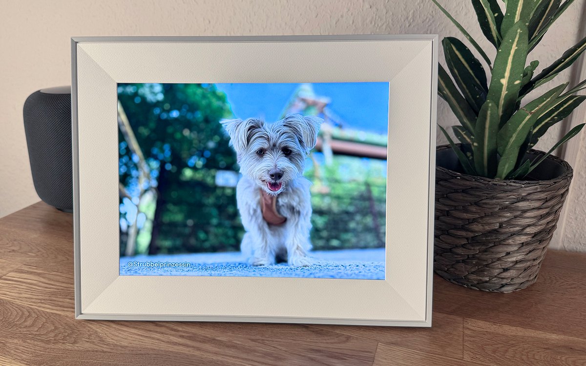 Techgedöns 👨🏼‍💻📱⌚️ tweet media