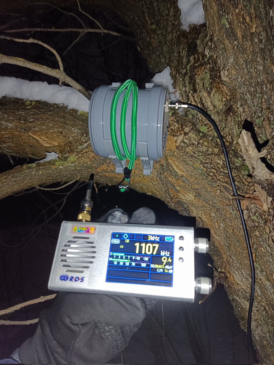 RA4SD's tweet photo. Did a side-by-side in a quiet forest spot comparing my FSL and the Wellgood loop on MW. Strapped the FSL to a tree with a bungee cord (on the picture). The Wellgood absolutely smashed it — logged India and China on it. Proper 5-star antenna!
Many tnx @m1geo 👍
#mwdx #wellgood https://t.co/Cprozqotg7