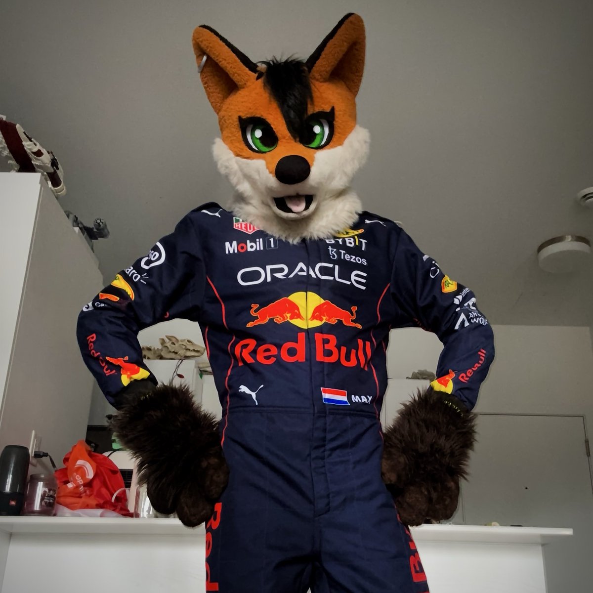 🏎️Ajax_Fox🦊 tweet media