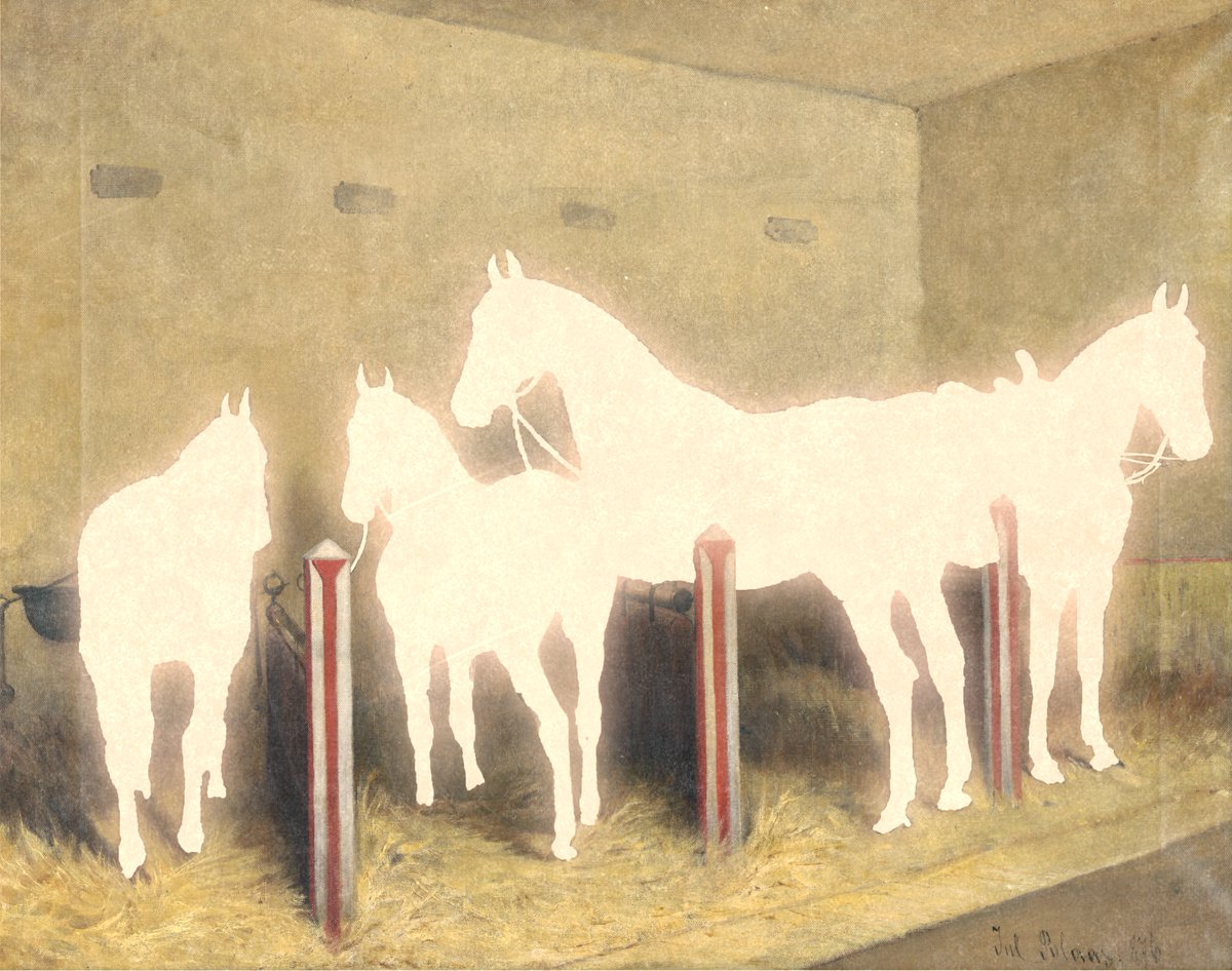 enigmatriz tweet media