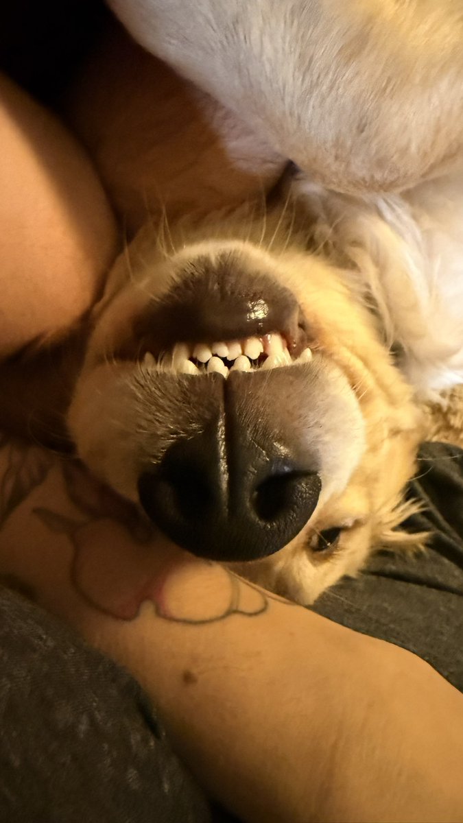 Нытьяна tweet media