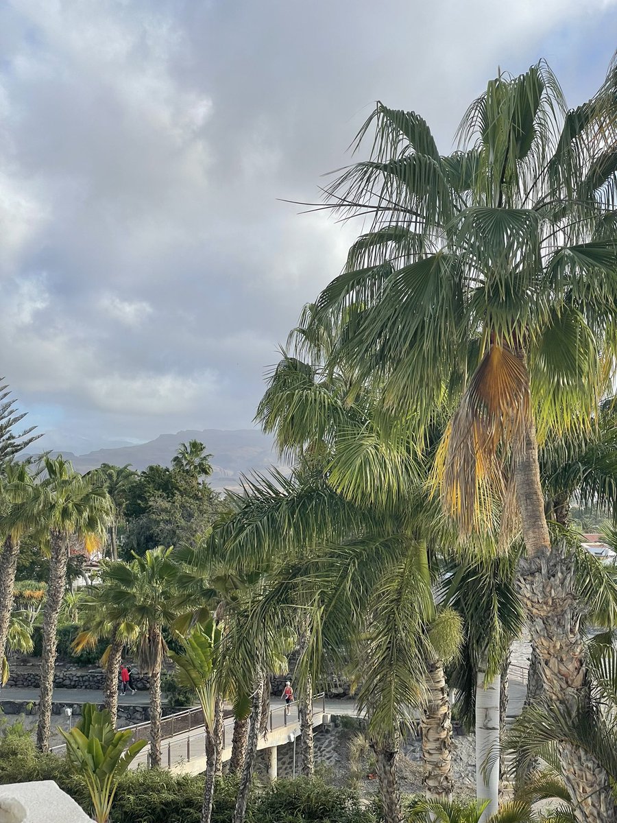 C’est les vacances 🌴#LGBTQIAManifestingGoodMonth
