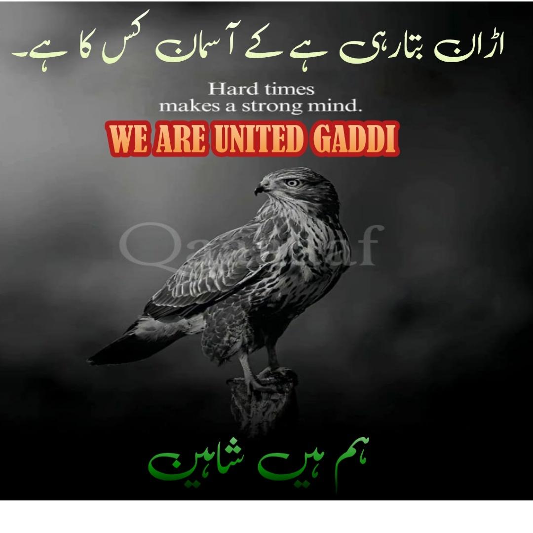 tanweergaddi's tweet photo. اڑان بتائے گی آسمان کس کا ہے۔ https://t.co/zREsvopIo3