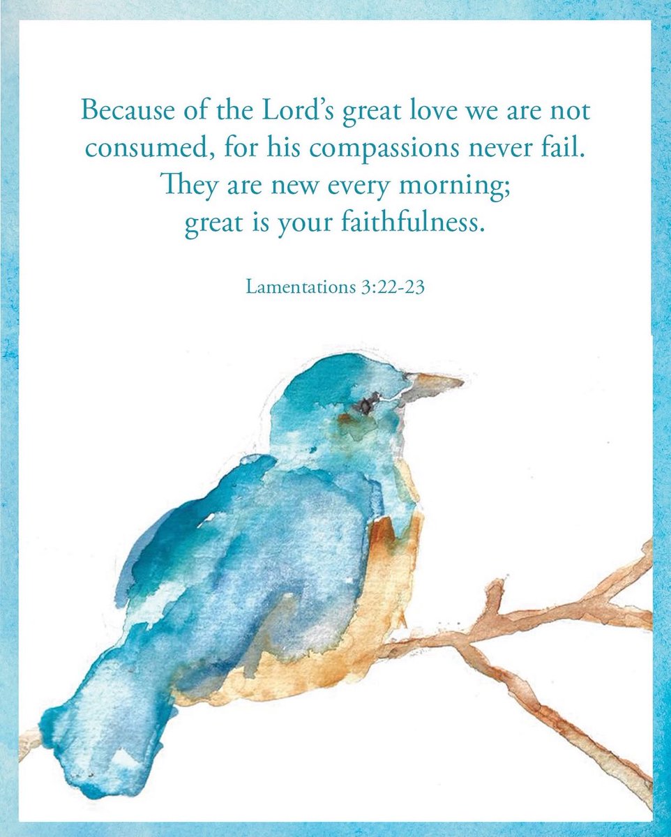 Pamela Diane✝️ tweet media