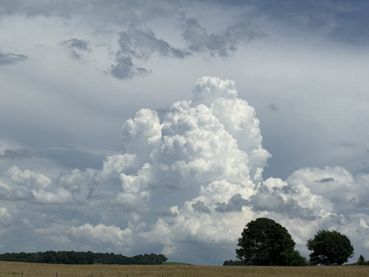 imr_wx's tweet photo. Did someone say meteorological spring?

#wxtwitter #stormszn https://t.co/tScHUyzhNk