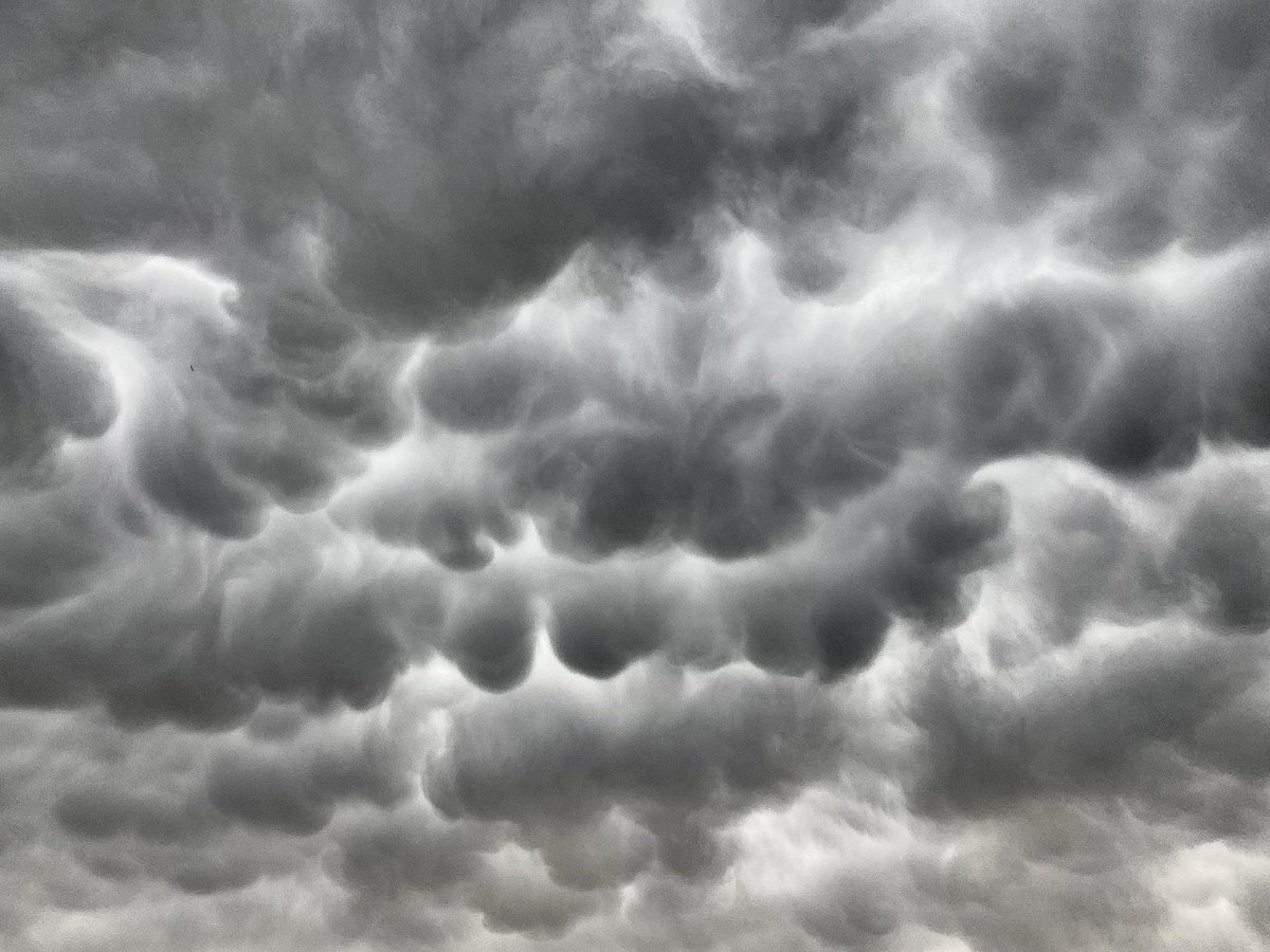 imr_wx's tweet photo. Did someone say meteorological spring?

#wxtwitter #stormszn https://t.co/tScHUyzhNk