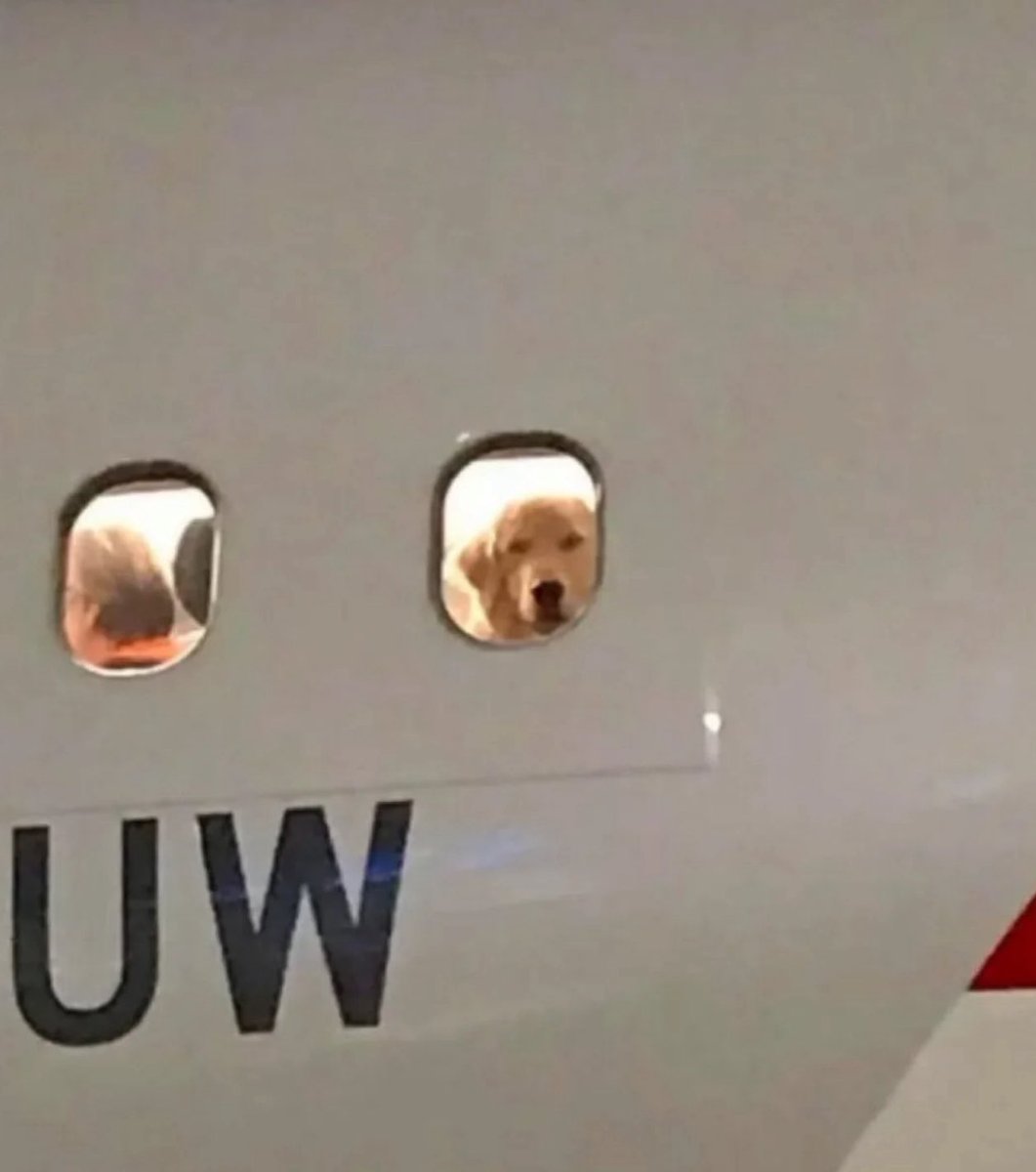 When the ball is thrown to you too far