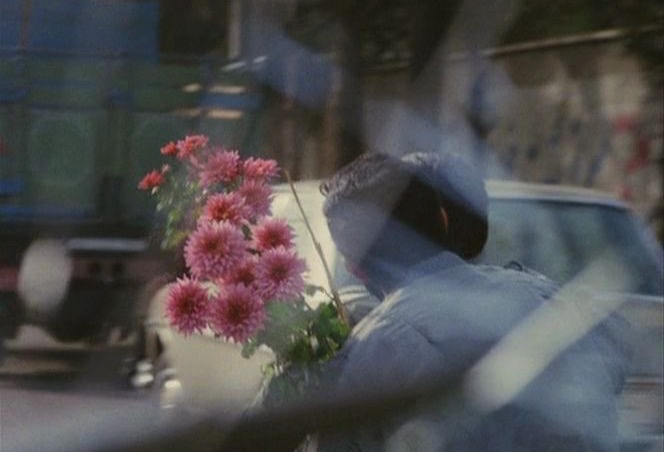 LostInFilm's tweet photo. March 1st 🌺💐🌼🌸 https://t.co/M4QiAVCRNm