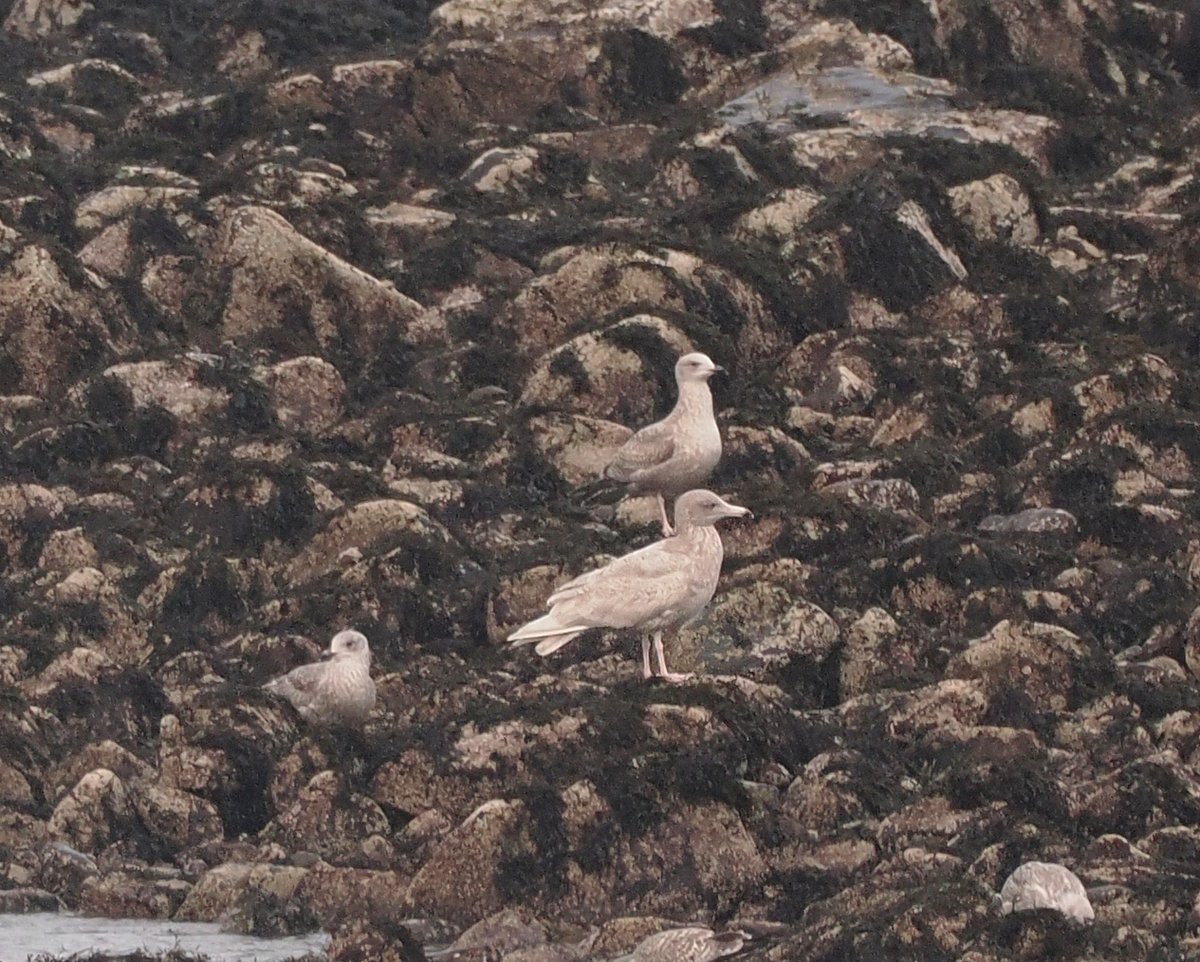 Andrew Whitehouse tweet media