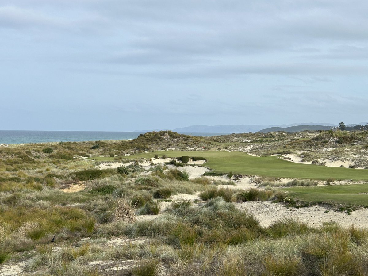 Golf Course Gurus tweet media