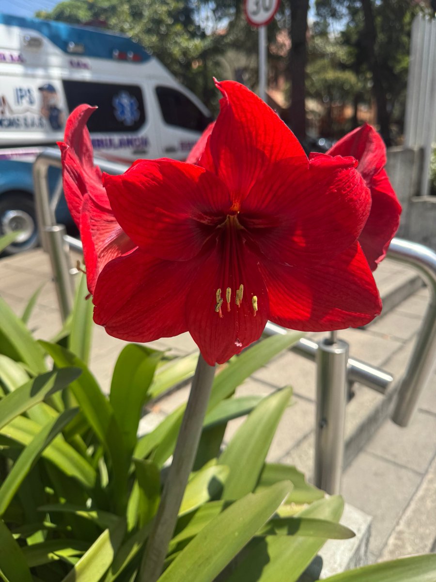 “Tenemos dos vidas, y la segunda comienza cuando nos damos cuenta de que solo tenemos una.”

             -Confucio-