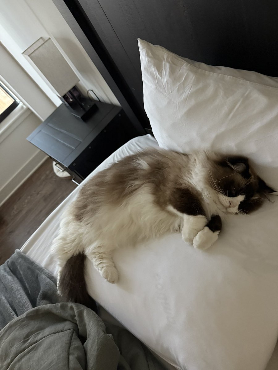 SypherPK tweet media