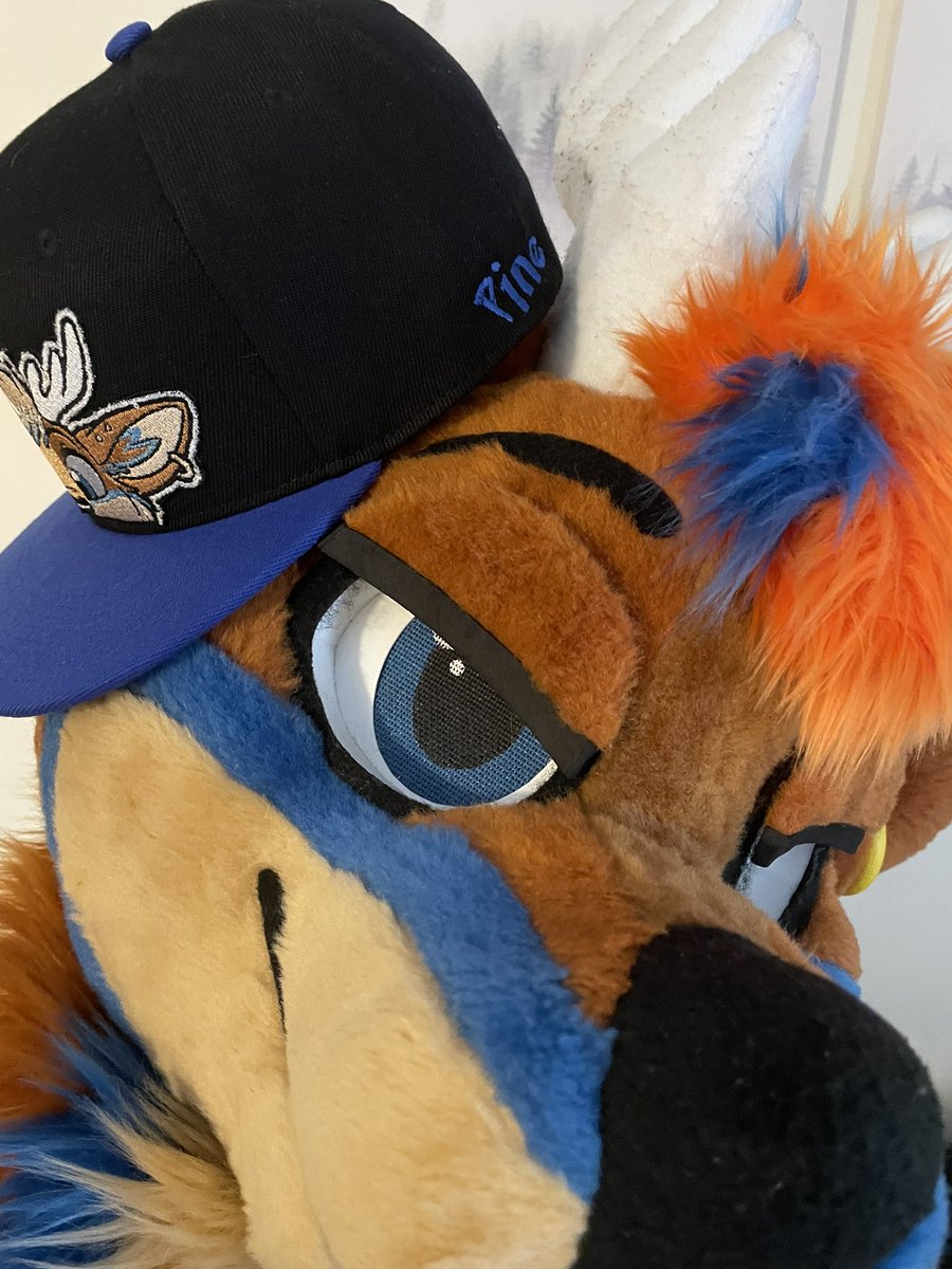 Pine! 🔜 FCL, FWA, AC tweet media