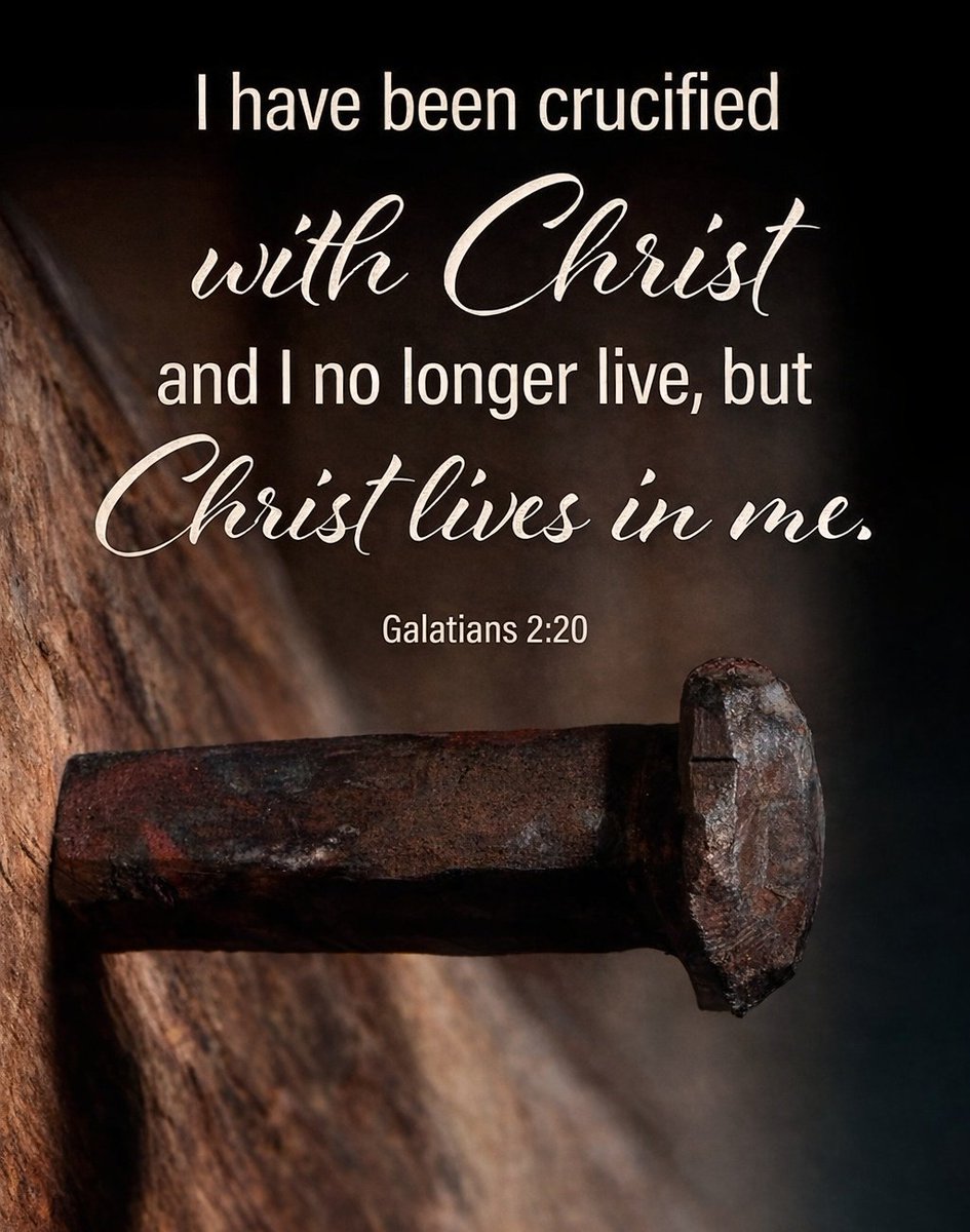 The__Bible7's tweet photo. Galatians 2:20 https://t.co/91MS2jGXd2