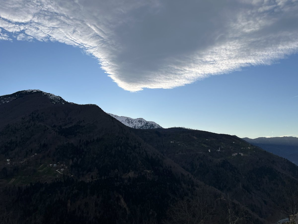 Hayat;ilim ve cihâd,
Cihâd,kalem ve silahladır.