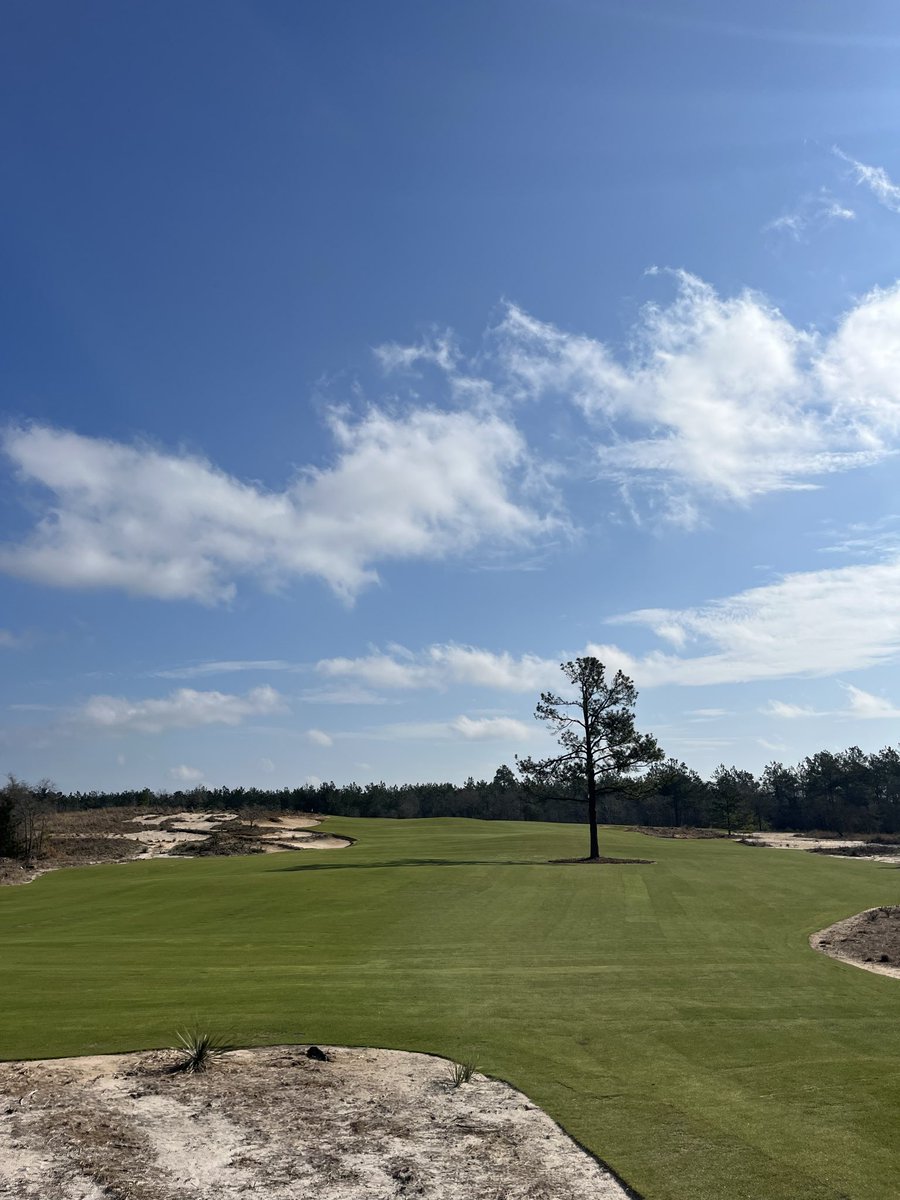 Hungjae Im tweet media