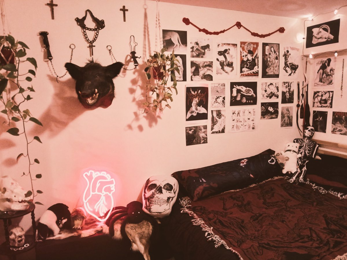 ๐๐๐๐๐ โฑ ๐๐๐๐ tweet media