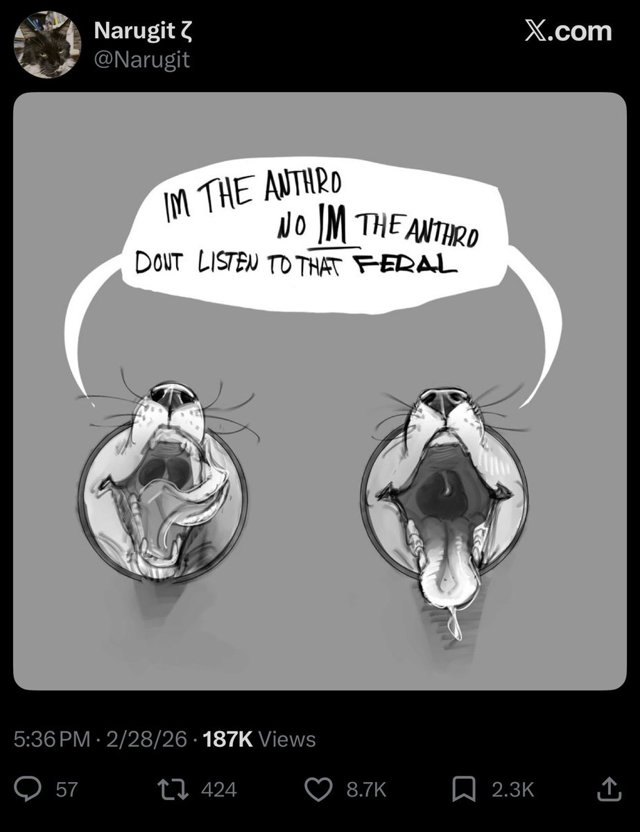 Arclight ⚡️Leopard tweet media