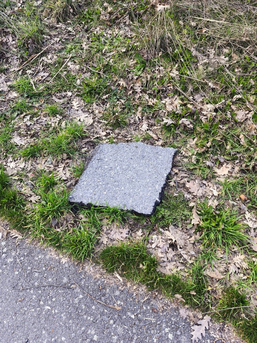 <a href="/Moralzarzal/">Ayuntamiento de Moralzarzal</a> En el Retamar, los trozos de asfalto ya tenemos que recogerlos en el monte.