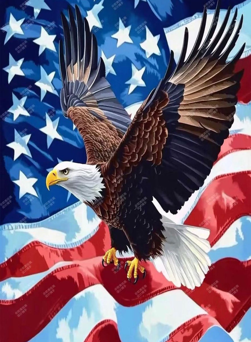 God bless those who defend this country. 🇺🇸
No one deserves to lose everything to conflict. In difficult times, I choose to believe President Trump is leading with America first.
