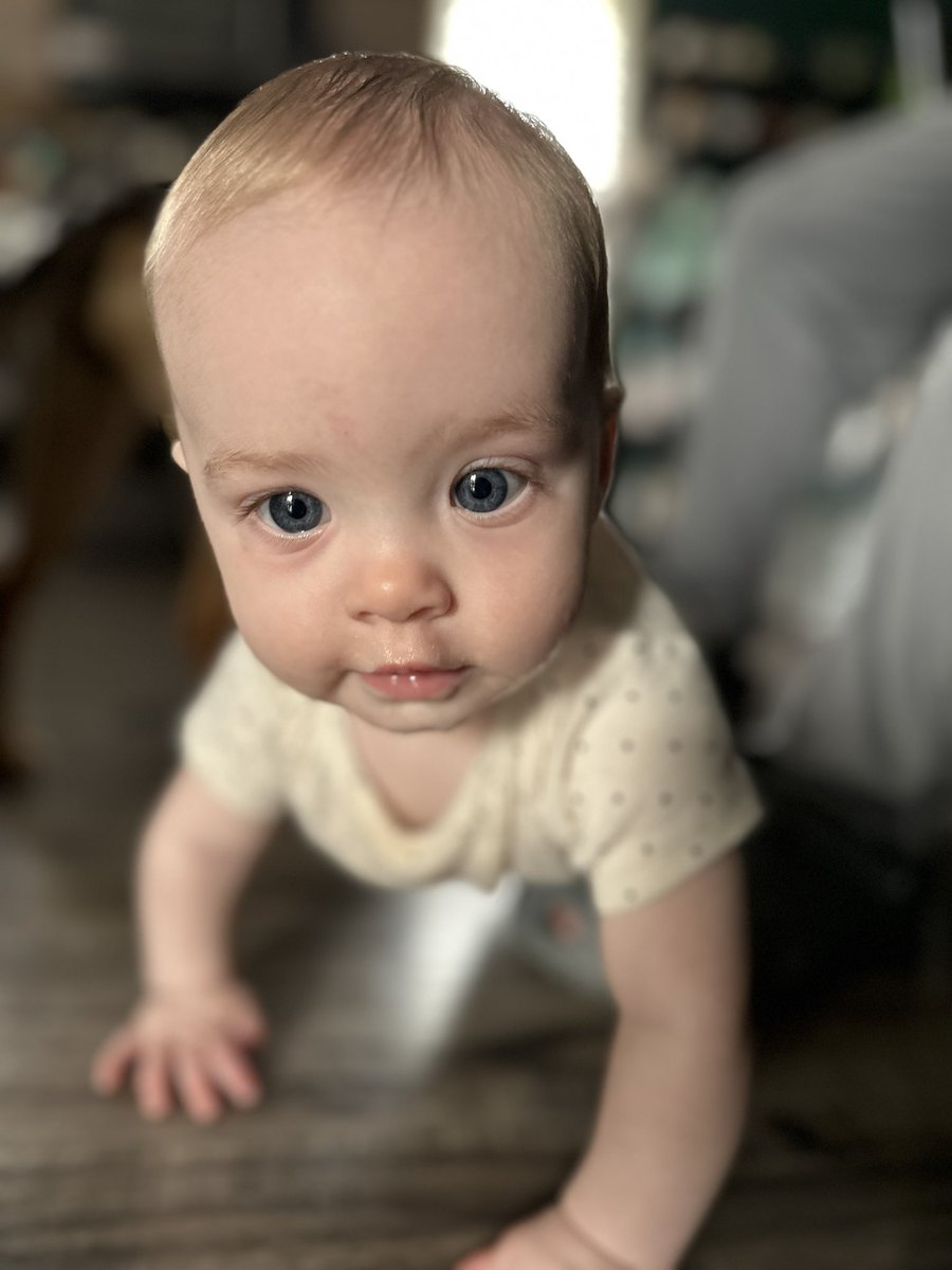 Darren Powell tweet media