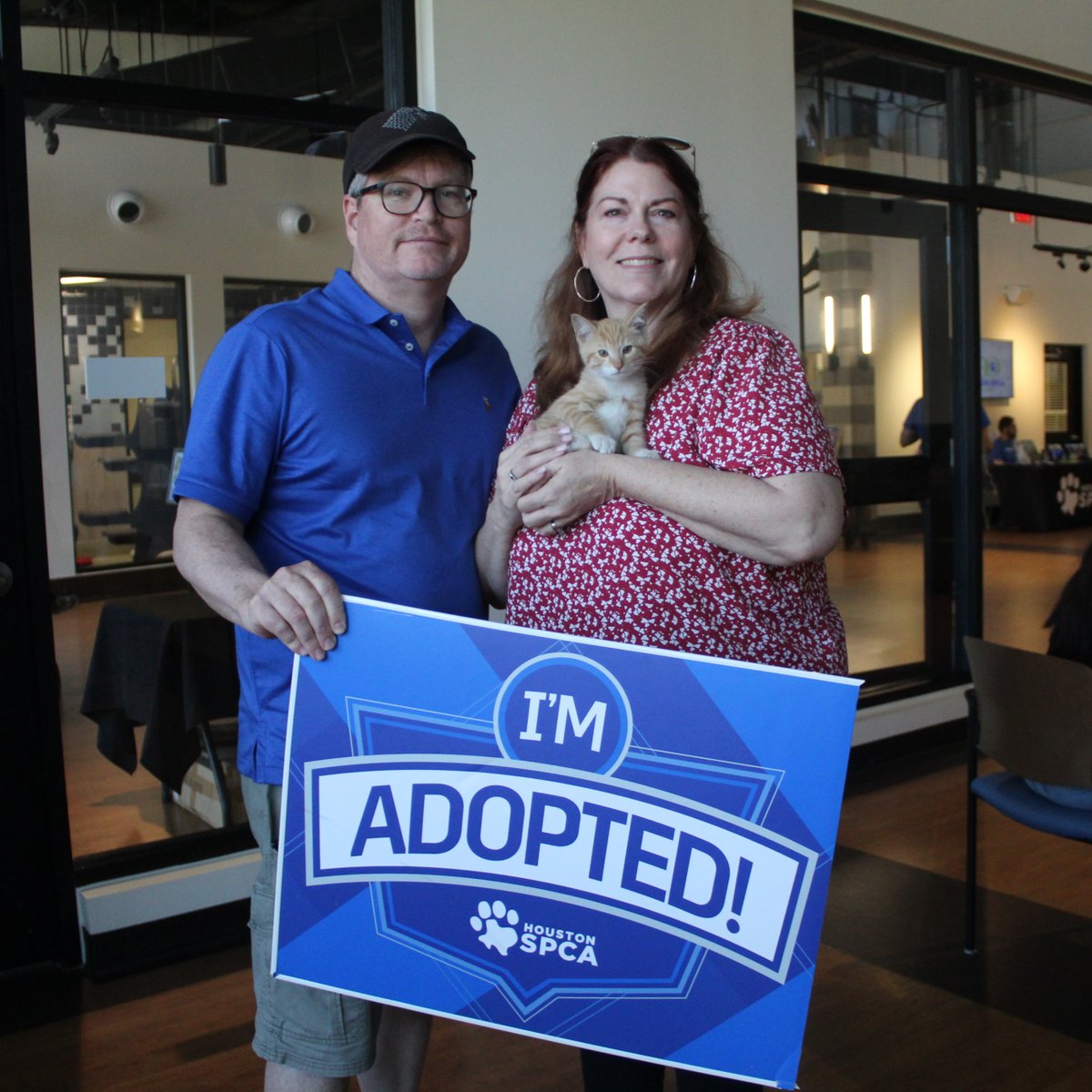 HoustonSPCA's tweet photo. 🎉 Spring Open House April 25! 🎉

Bring the family for games, prizes, adoption specials, equine demos, wildlife talks, behind-the-scenes tours, hands-on activities, and so much more! Celebrate animals and support lifesaving work.🐾💙

#HoustonSPCA #SpringOpenHouse #AdoptDontShop https://t.co/f1bgtGReKC