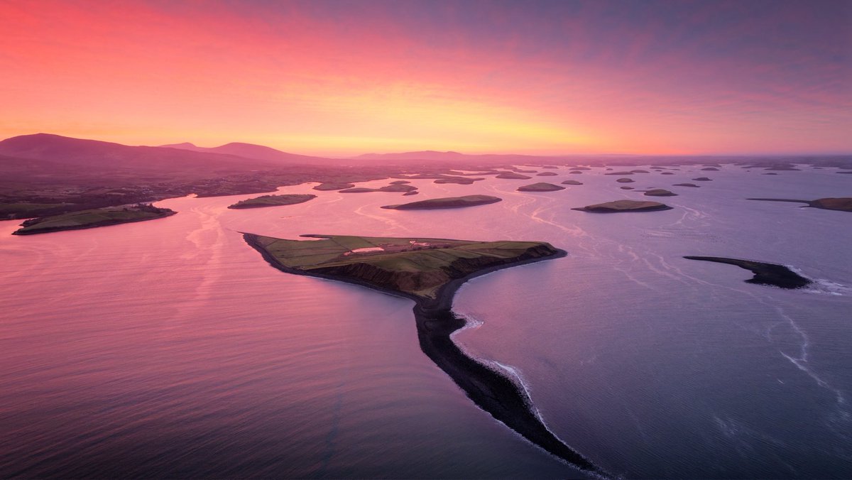 Sean O' Riordan tweet media