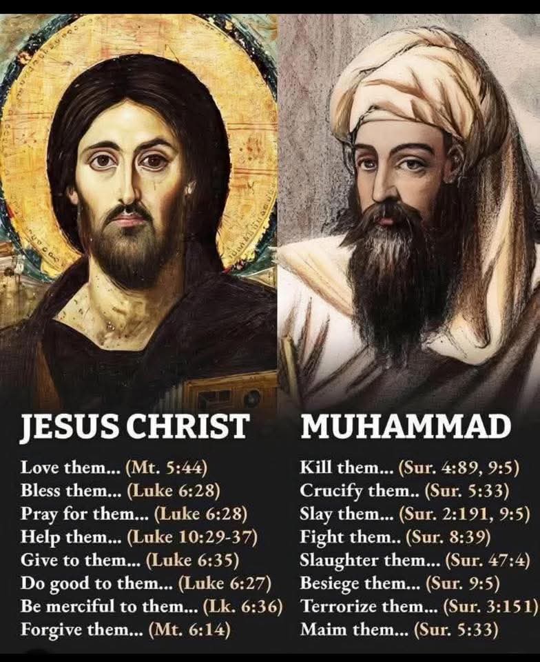 <a href="/BillMelugin_/">Bill Melugin</a> <a href="/FoxNews/">Fox News</a>