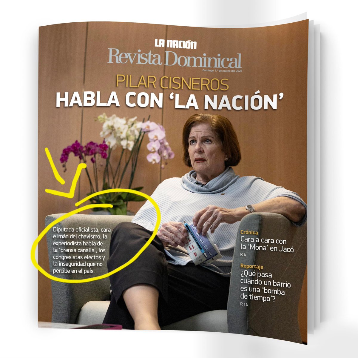 👇 Se equivoca <a href="/nacion/">La Nación</a> al llamar "experiodista" a la diputada oficialista y Jefa de Fracción <a href="/PilarCisnerosGa/">Pilar Cisneros</a>, pues los grados  profesionales no se pierden por no ejercerlos remuneradamente.

💣 Para muestra, si el calificativo es por edad: ¿por qué <a href="/nacion/">La Nación</a> no se refiere a