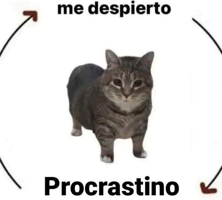 beki ⋆˚꩜。݁ ˖Ი𐑼⋆ tweet media