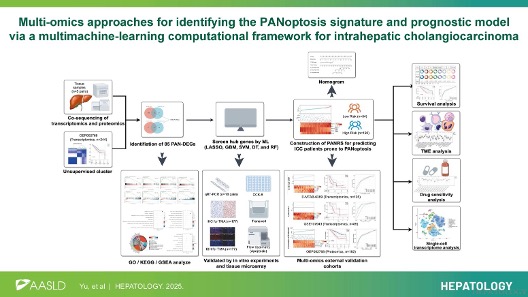 HEPATOLOGY Journal tweet media