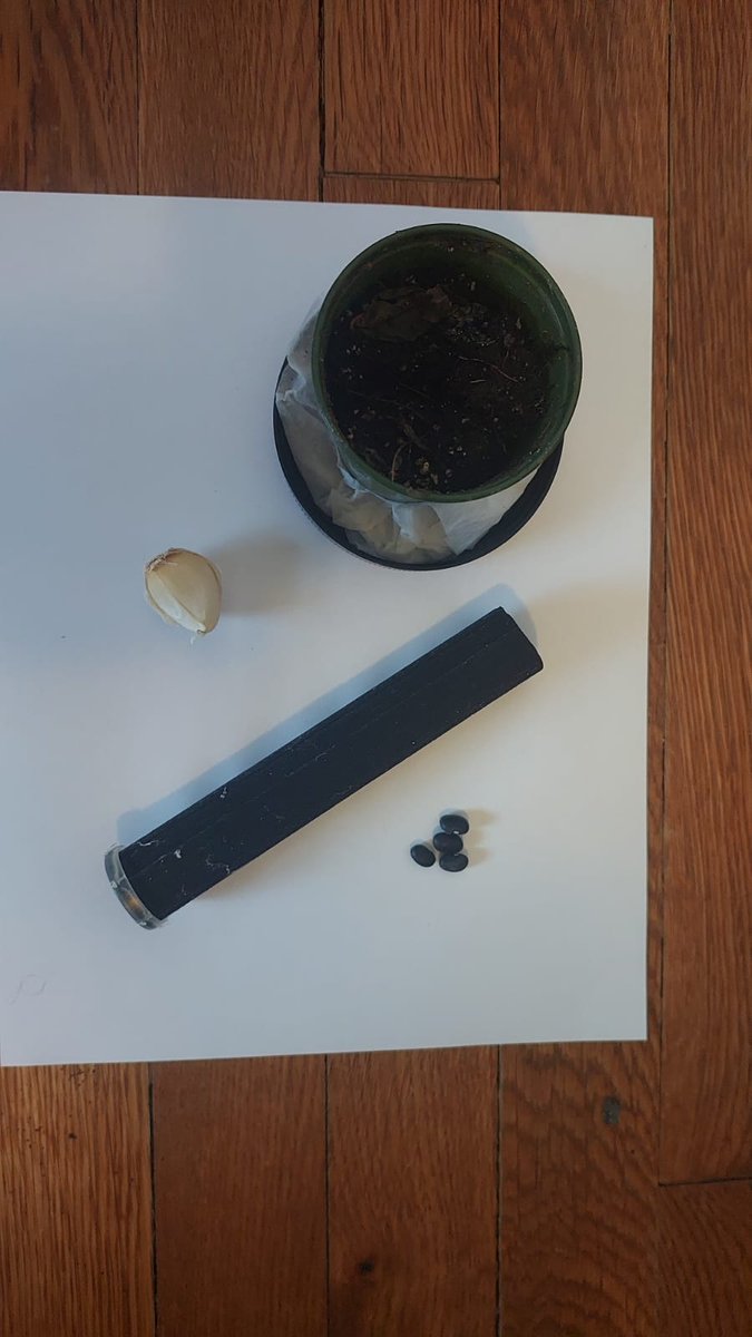 BlueFilter Company tweet media