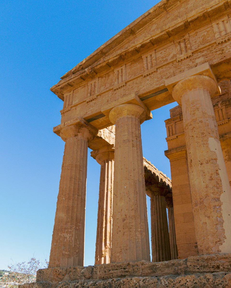 Pure Sicily tweet media