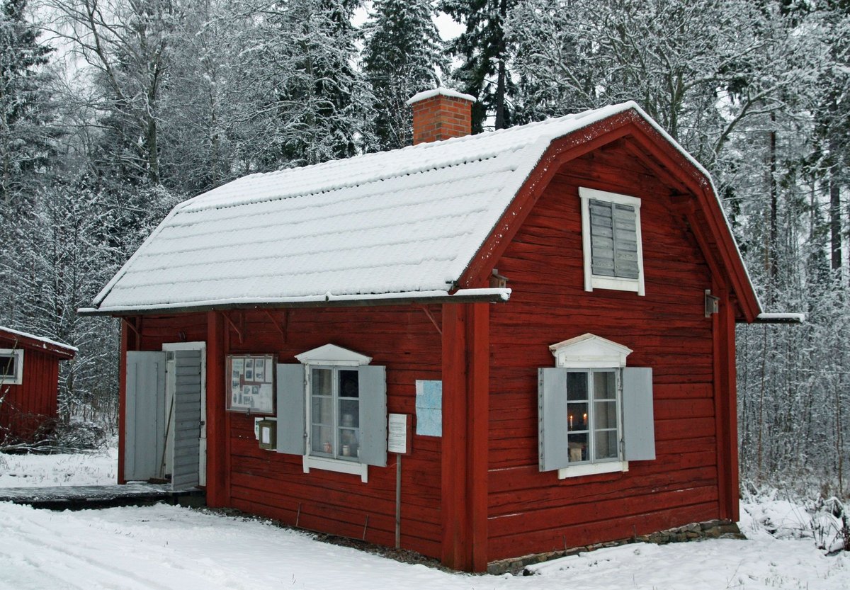 Birch Brother 🪓 tweet media