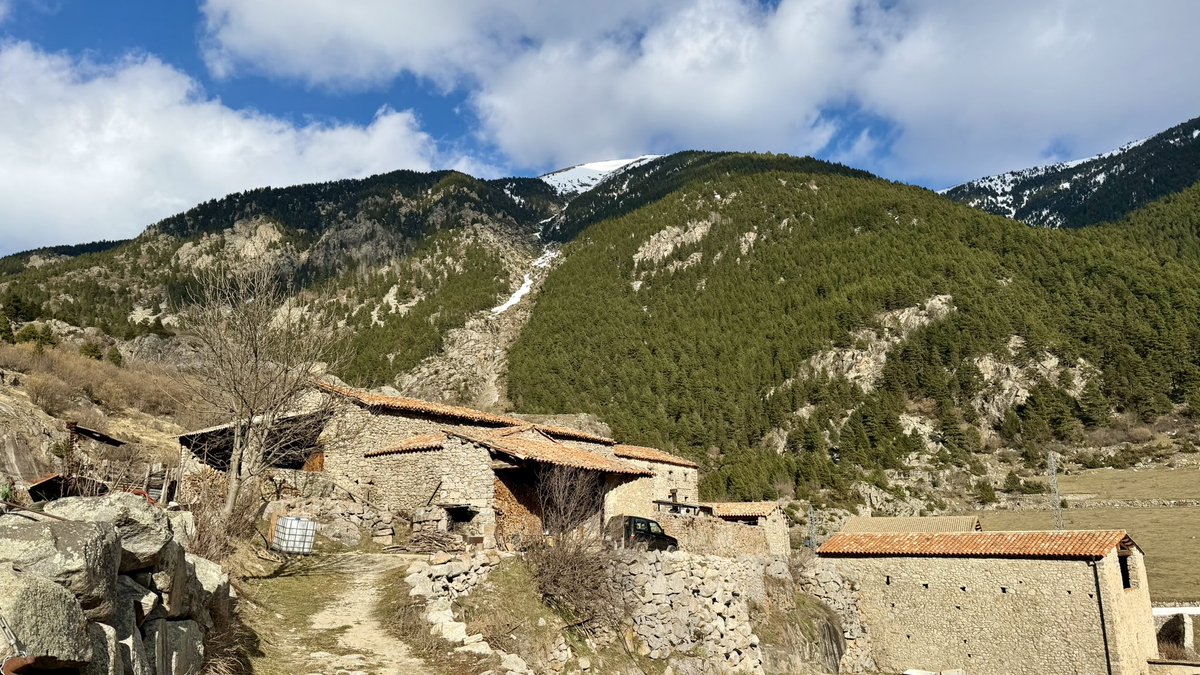 Jaume Jubert Ferré tweet media