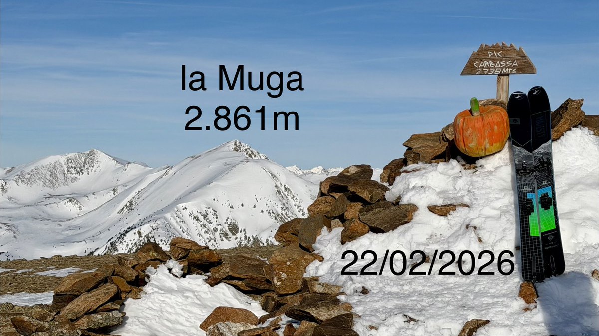 Jaume Jubert Ferré tweet media