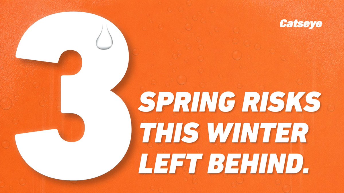 ❄️ This winter created 3 spring pest risks:

• Trapped moisture
• Expanded gaps
• Overwintering pests

 🏡 Spring pressure builds quickly. Get ahead of it with a proactive inspection: bit.ly/4anbKqN
