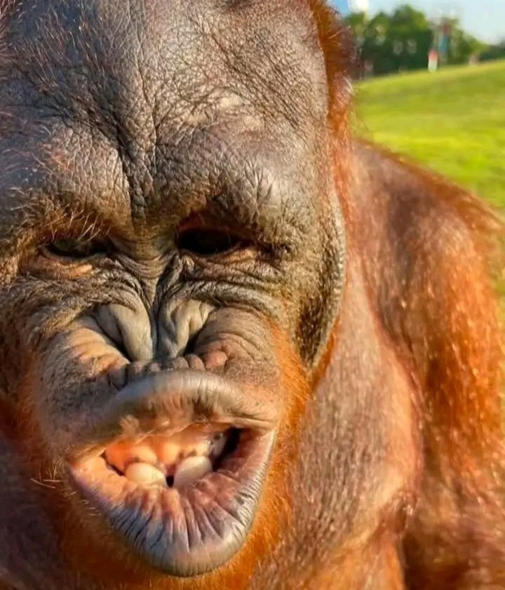 Every neighborhood has a guy who looks like this. If you don't know one, then it's you. 🙂