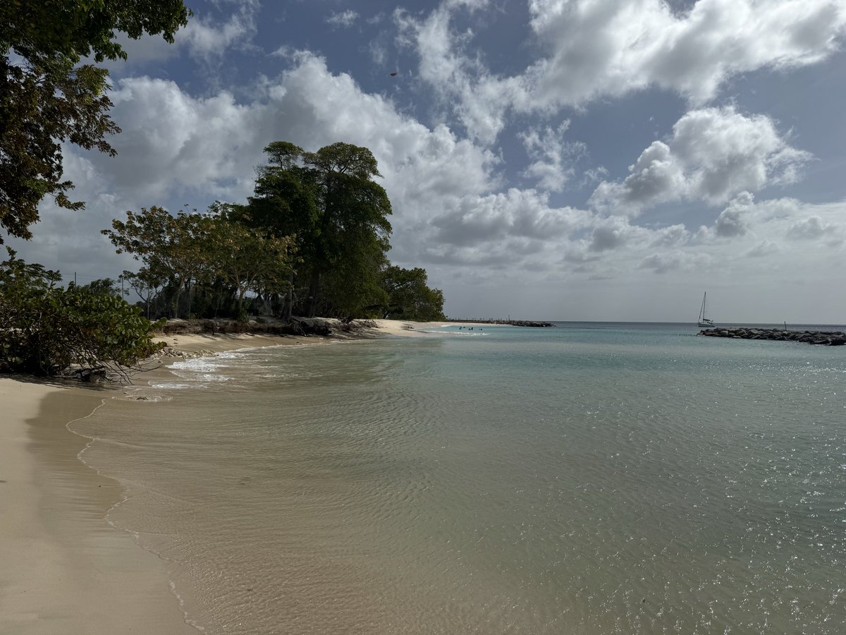 stuartthesecond's tweet photo. @Gracie_Blue89 This view and a win over Chelsea AGAIN 😂 what a day your keeper was flapping more than the seagulls on the beach today https://t.co/wsfiY1QAMS