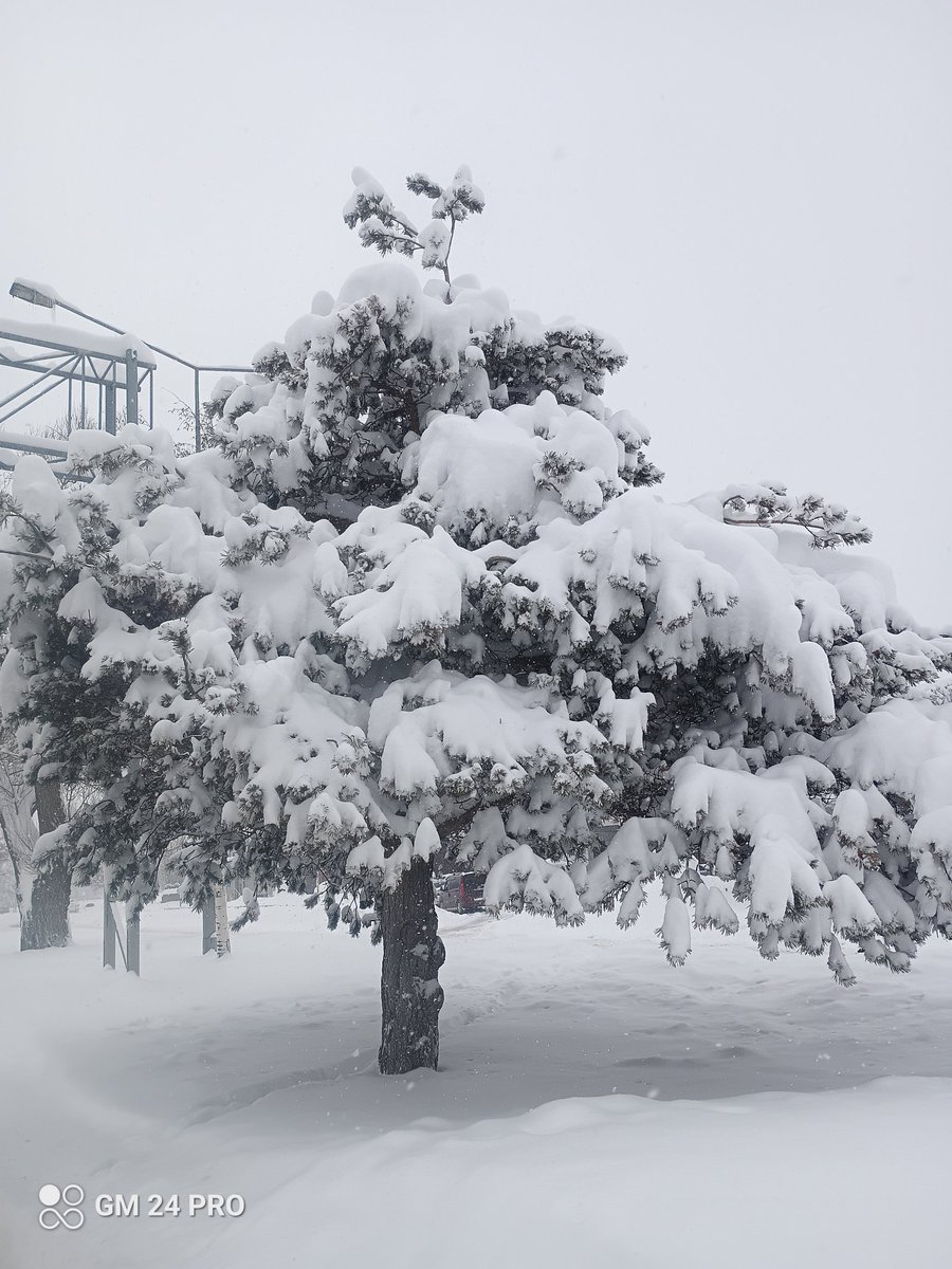 İyi akşamlar arkadaşlar Keyfiniz daim neşeniz bol olsun. Kışınız kısa yazınız uzun olsun. Ortamlarınız soğuk olsada sizler sıcak olun..