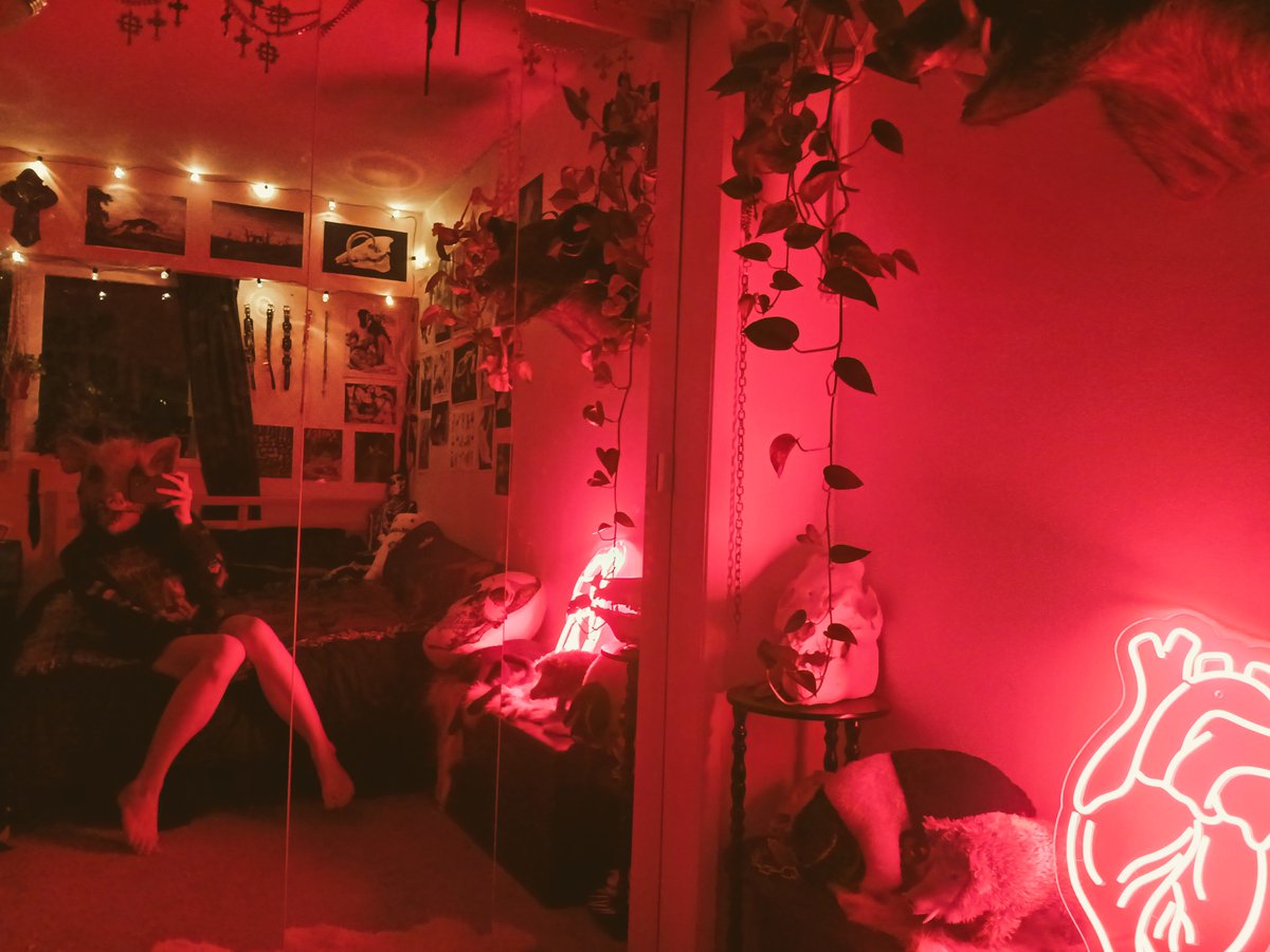 🌹🔞🥀 tweet media