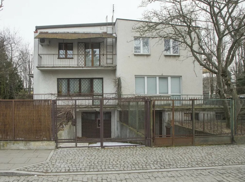 Procesor X tweet media