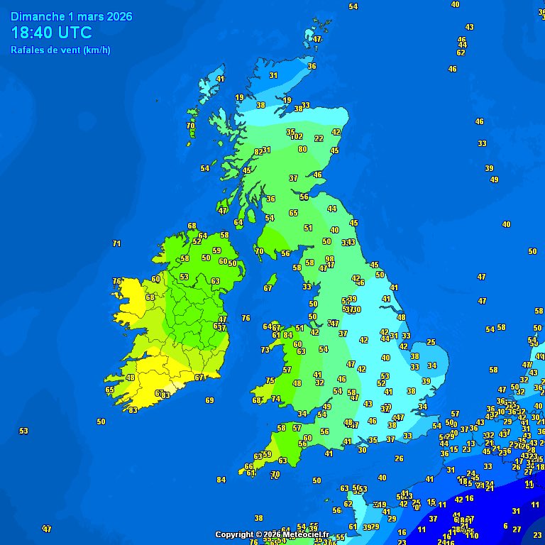 Heavy rain extending to most areas and wind has picked up with gusts over 70kmh now. Very wet and windy few hours ahead.