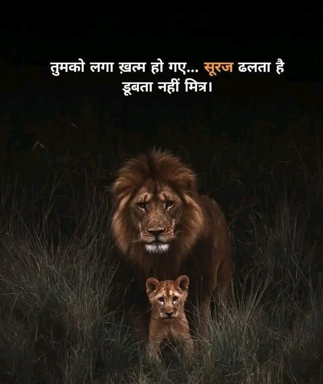 तुमको लगा हम ख़त्म हो गए ,
 सूरज सिर्फ ढलता है डूबता नहीं मित्र ,...