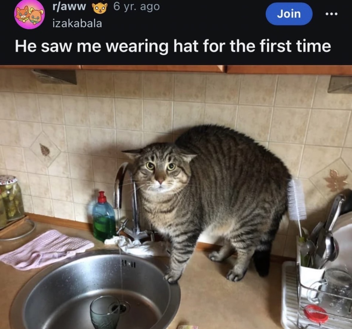 RespectfulMemes's tweet photo. https://t.co/nJH5ux3OUK