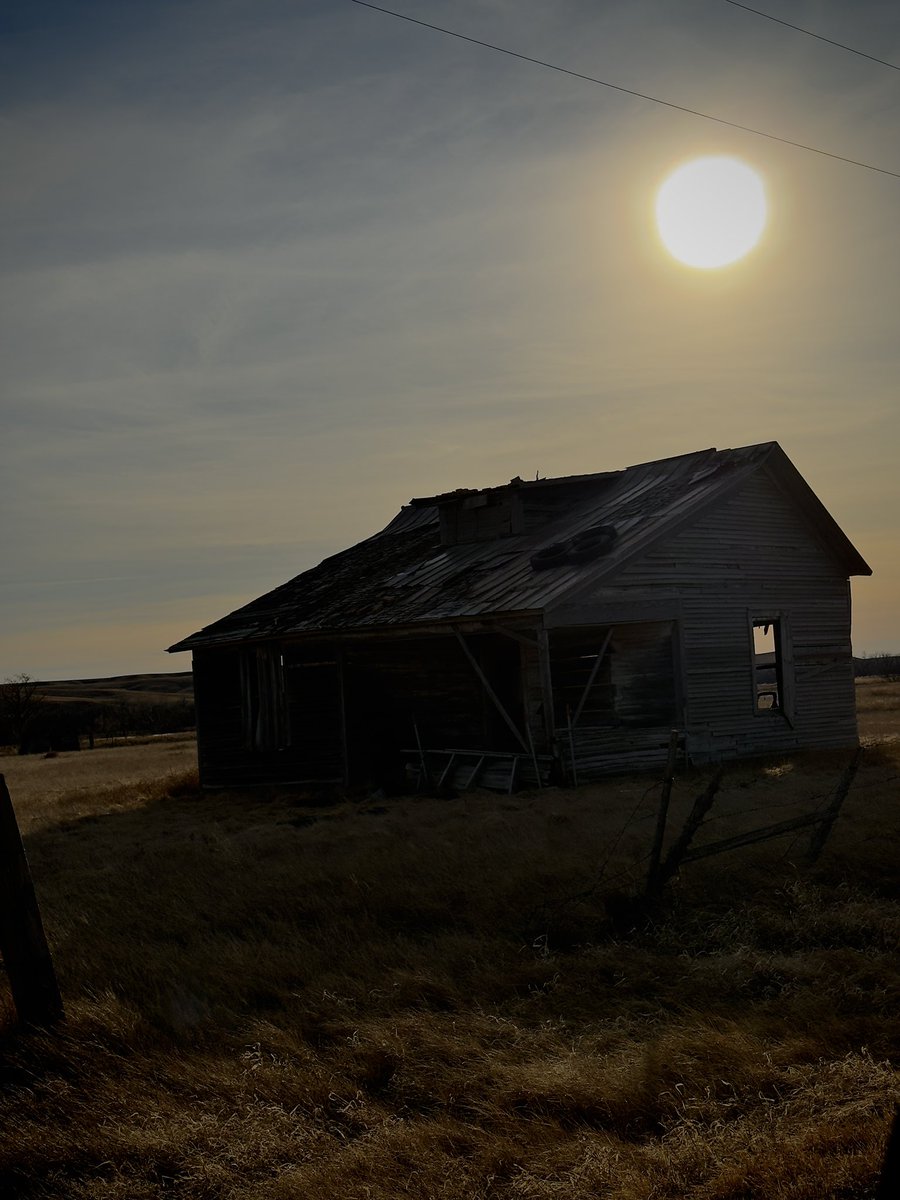 Trace Wipf tweet media