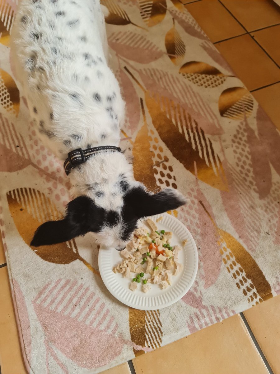 EmmaJane tweet media